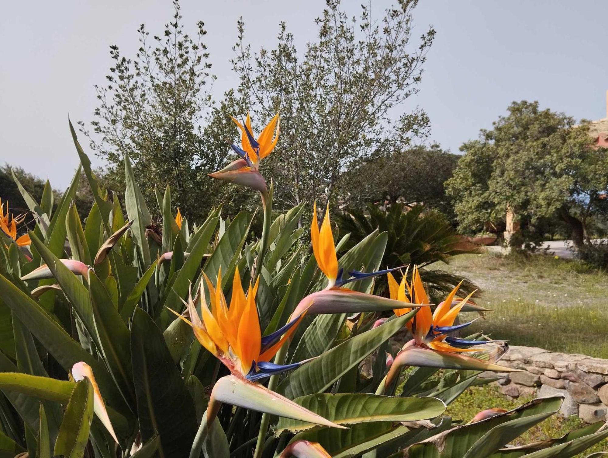 Holiday Home Riccio Di Mare Sardinia Marongiu Exterior photo